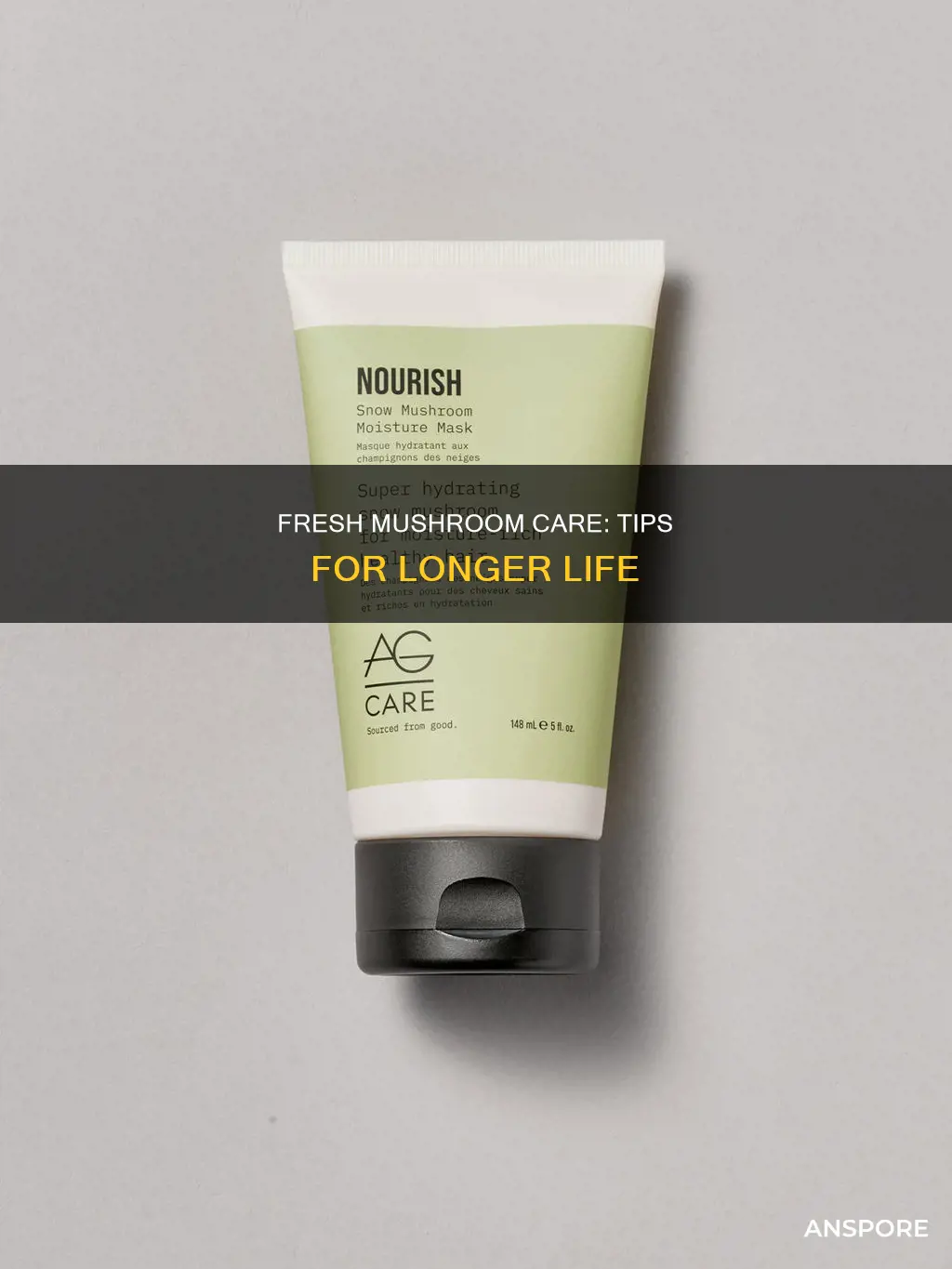 how to care for fresh type mushrooms