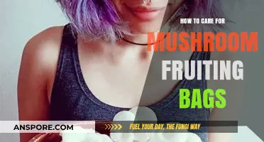 The Ultimate Guide to Caring for Mushroom Fruiting Bags