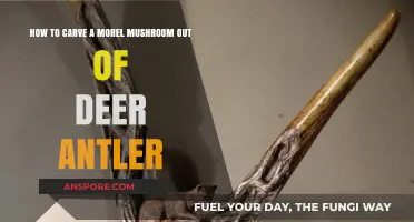 Carving Morel Mushrooms from Deer Antler: A Detailed Step-by-Step Guide