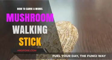 Carve a Unique Morel Mushroom Walking Stick: Step-by-Step Guide