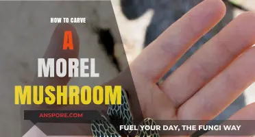 Mastering Morel Carving: A Step-by-Step Guide to Perfectly Sculpted Mushrooms