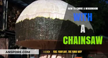 Carving Mushrooms: Chainsaw Artistry and Safety Tips