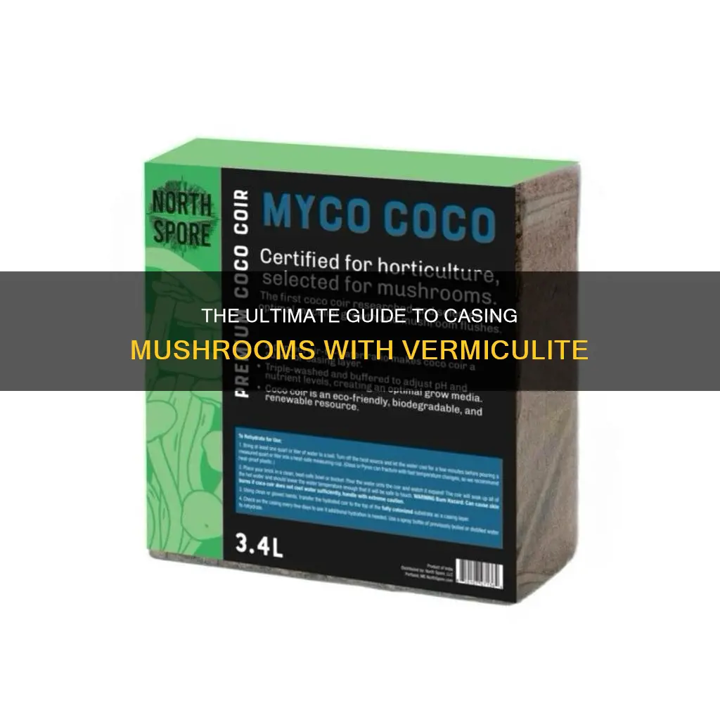 how to case mushrooms vermiculite