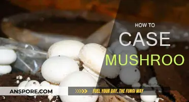The Ultimate Guide to Casing Mushrooms