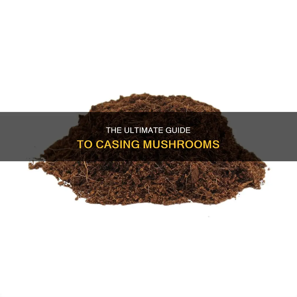 how to case mushrooms