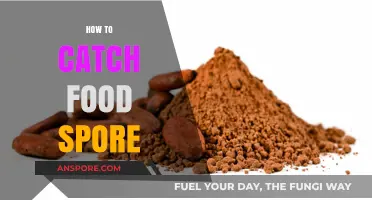 Mastering Food Spore Collection: Essential Tips and Techniques for Success