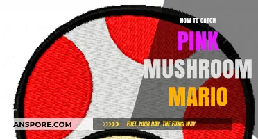 Catching Pink Mushroom in Mario: Tips and Tricks