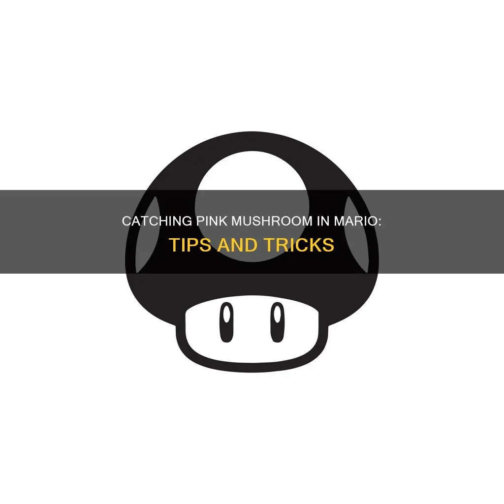 how to catch pink mushroom mario