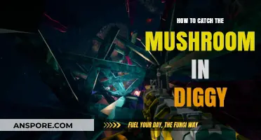 Catching Mushrooms in Diggy: Tips and Tricks
