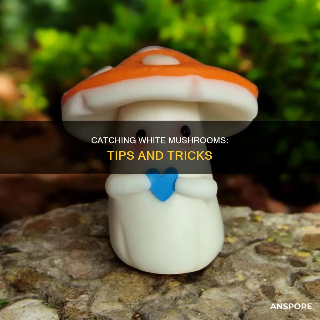 how to catch white mushroom kingdom hearts