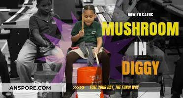 Catching Mushrooms in Diggy: Tips and Tricks