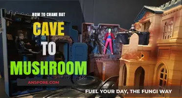 Transforming Bat Caves: Mushrooms' Magic