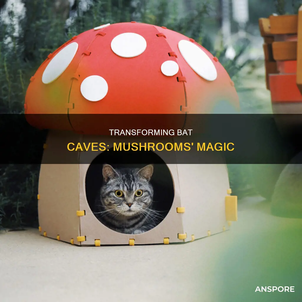 how to chane bat cave to mushroom