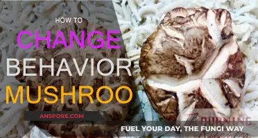 Transforming Behavior: The Magic of Mushrooms