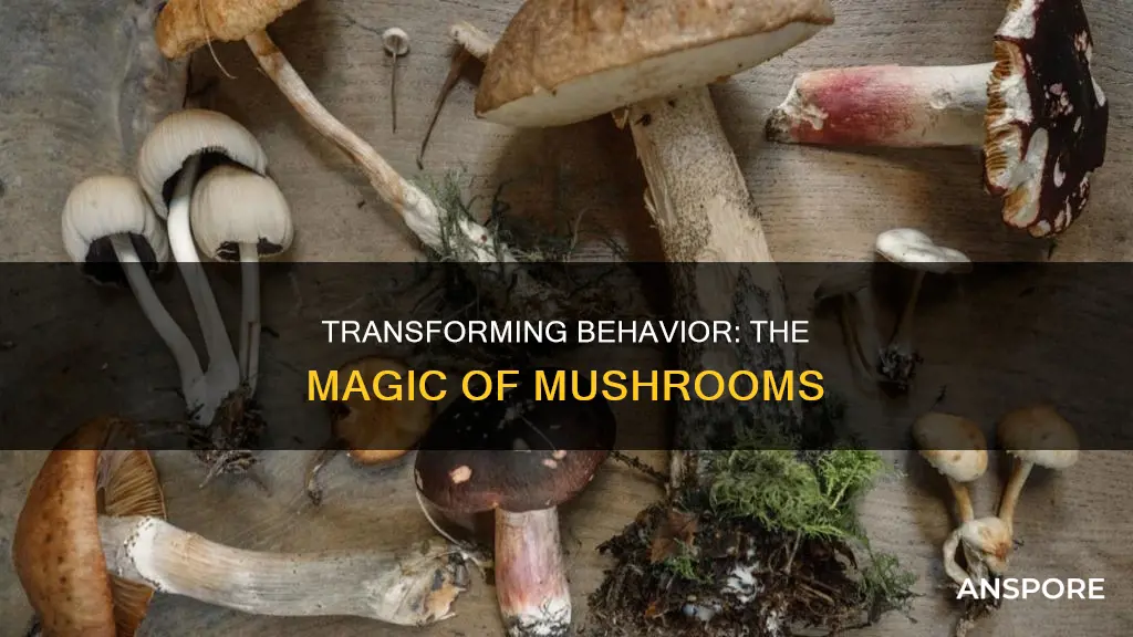 how to change behavior mushrooms