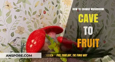 Transforming Caves: From Mushrooms to Fruits
