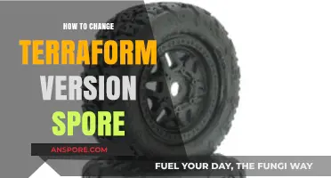 Switching Terraform Versions: A Step-by-Step Guide for Spore Users