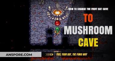 Transforming Fruit Bat Caves: Mushroom Revolution