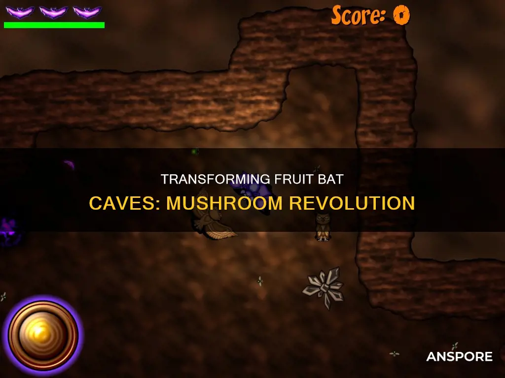 how to change the fruit bat cave to mushroom cave