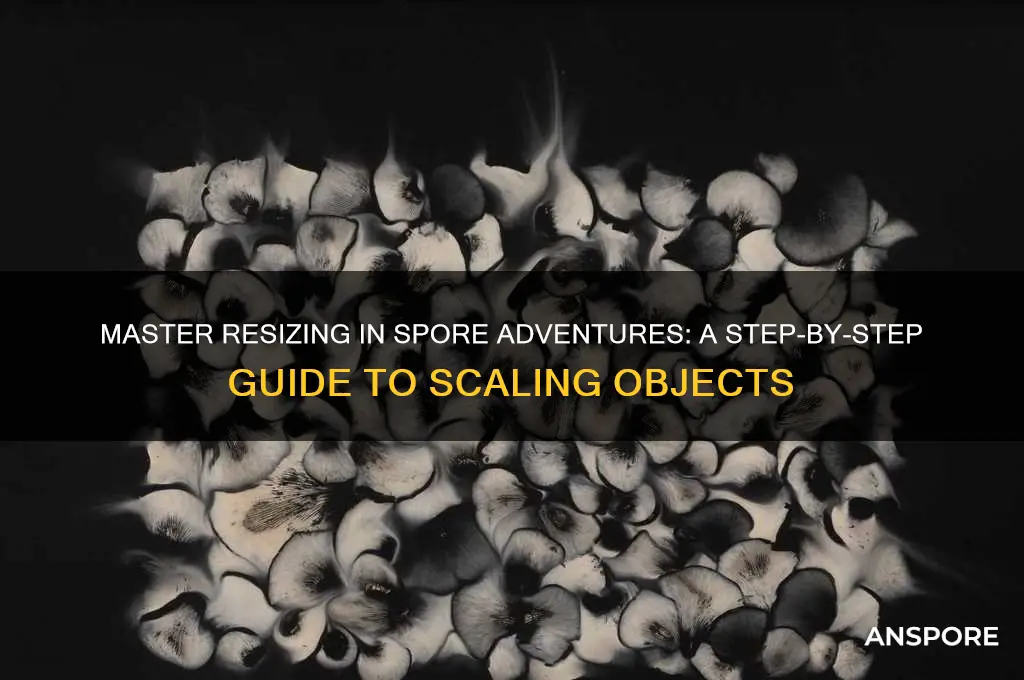 how to change the size of things in spore adventures