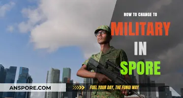 Transitioning to Military Life in Singapore: A Comprehensive Guide