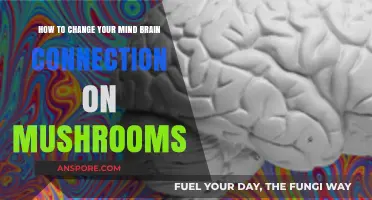 Unlocking Mind Power: Mushroom-Enhanced Brain Connections