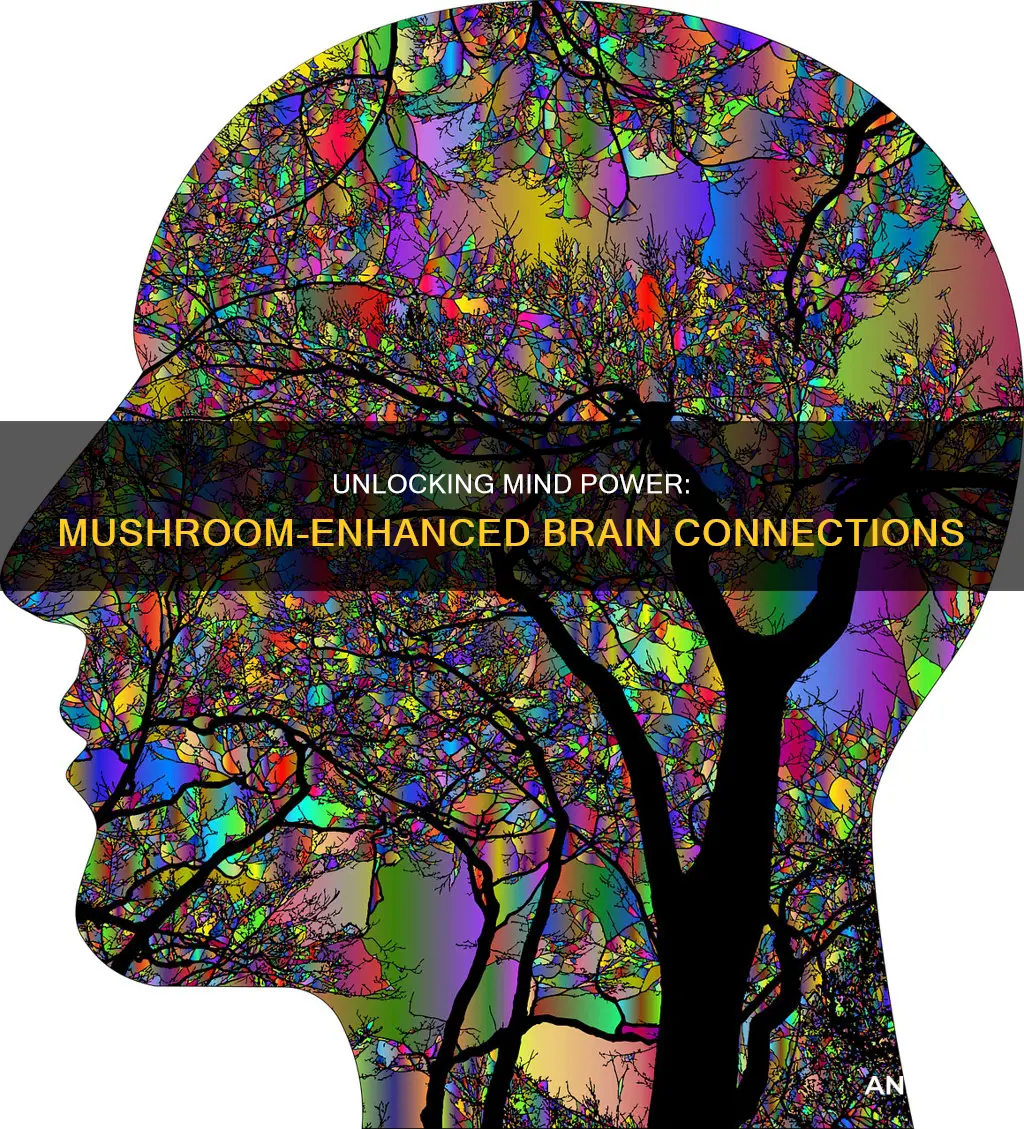 how to change your mind brain connection on mushrooms
