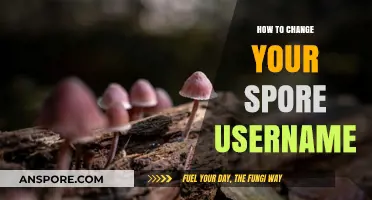 Step-by-Step Guide to Changing Your Spore Username Easily
