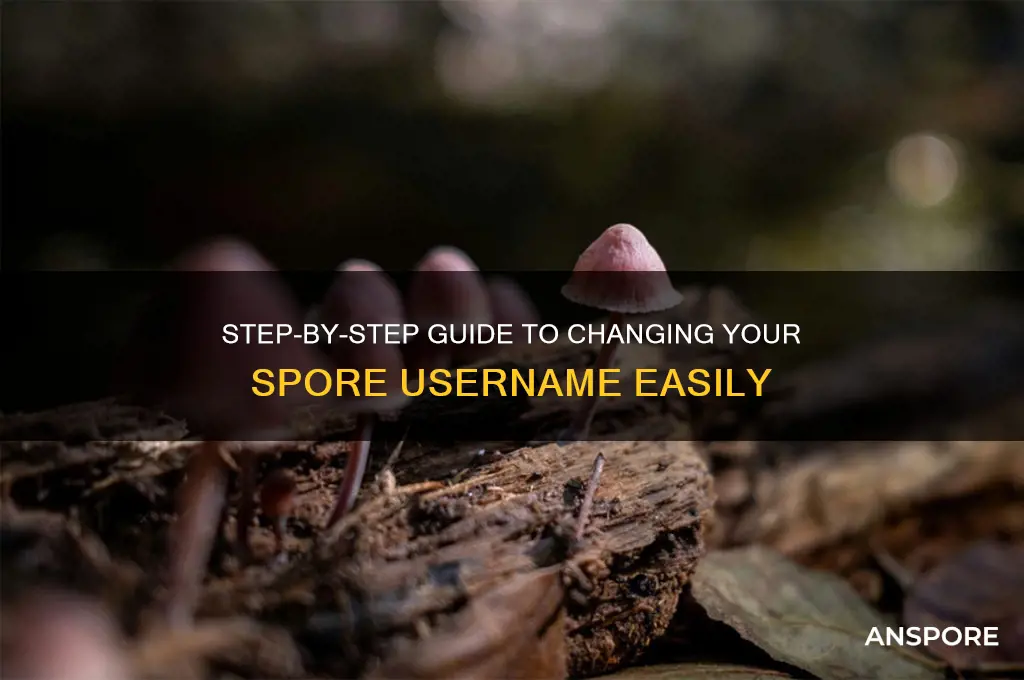 how to change your spore username