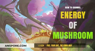 Channeling Mushroom Energy: A Guide to Unlocking Their Power