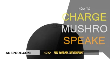 Charging the Mushroom Speaker: A Quick Guide