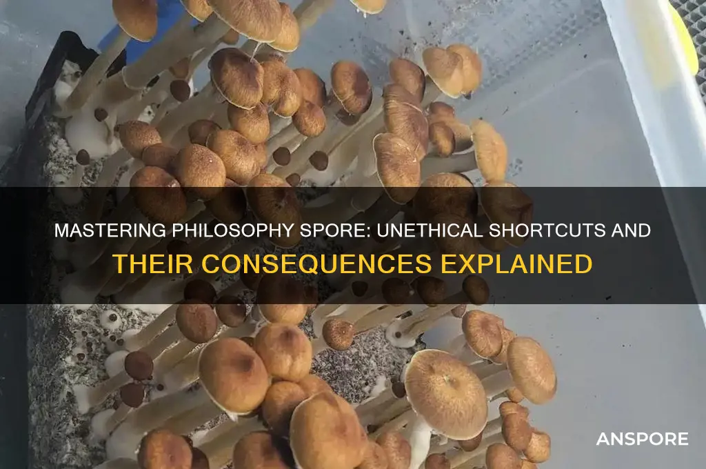 how to cheat philosophy spore