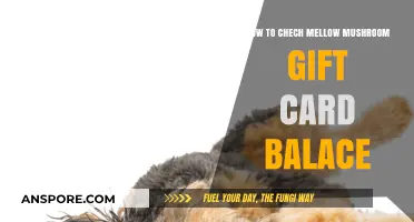 Mellow Mushroom Gift Card: Check Your Balance Easily