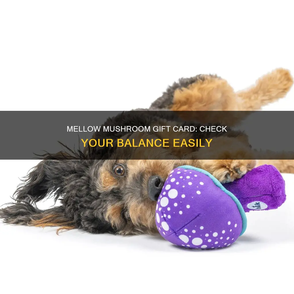 how to chech mellow mushroom gift card balace