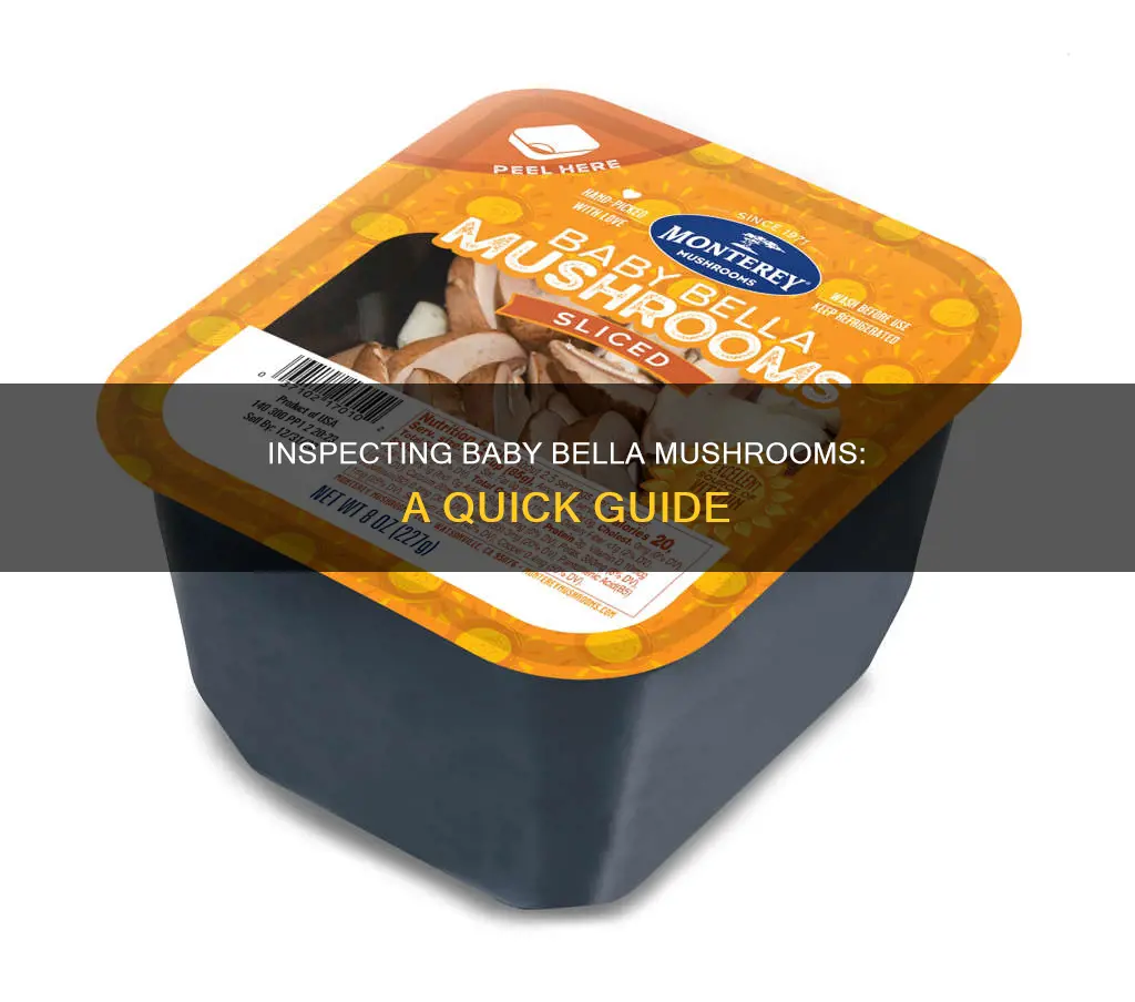 how to check baby bella mushrooms