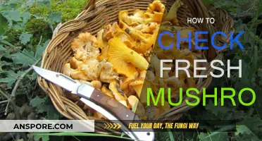 Selecting Fresh Mushrooms: A Quick Guide to Quality
