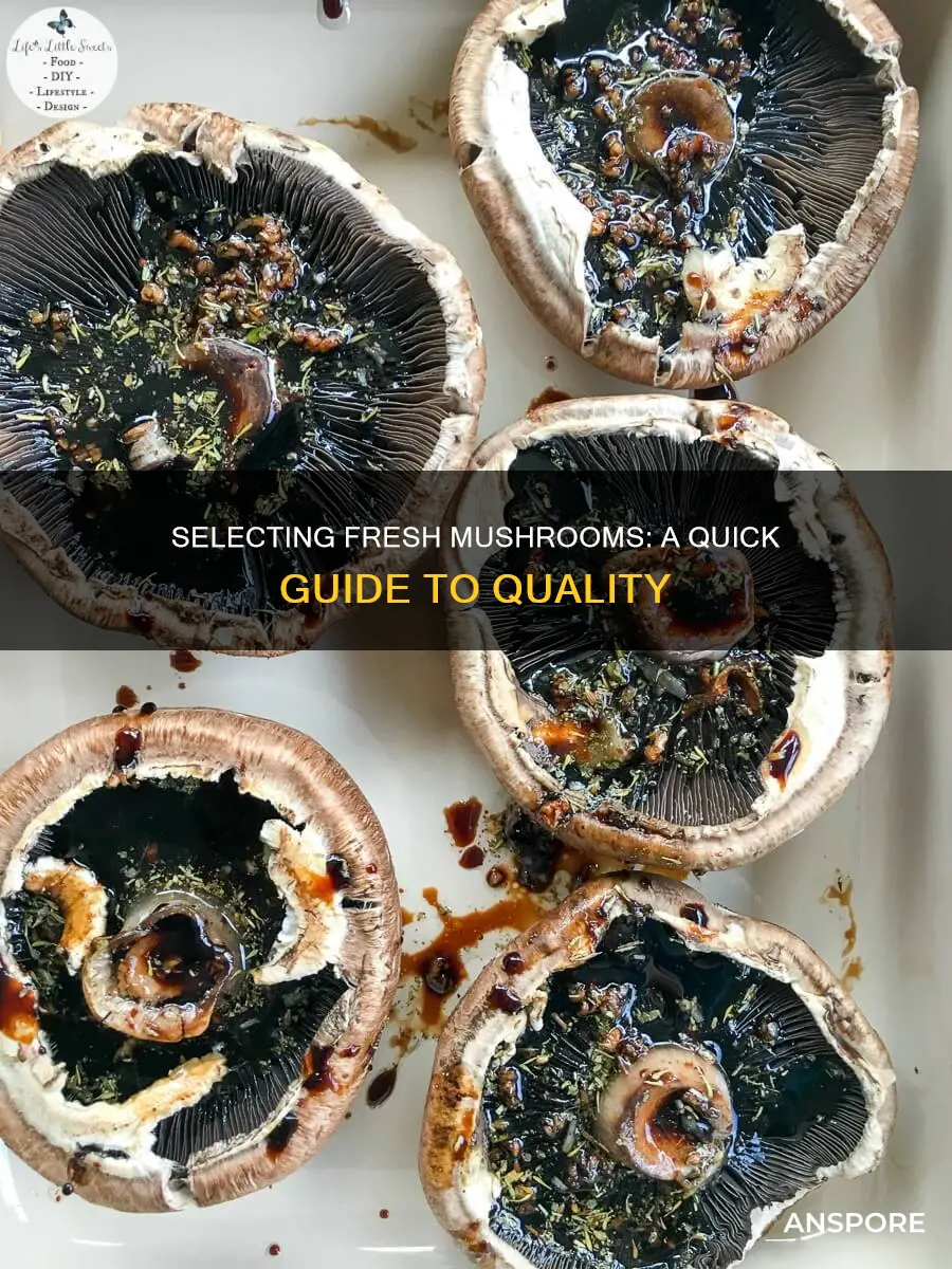 how to check fresh mushrooms