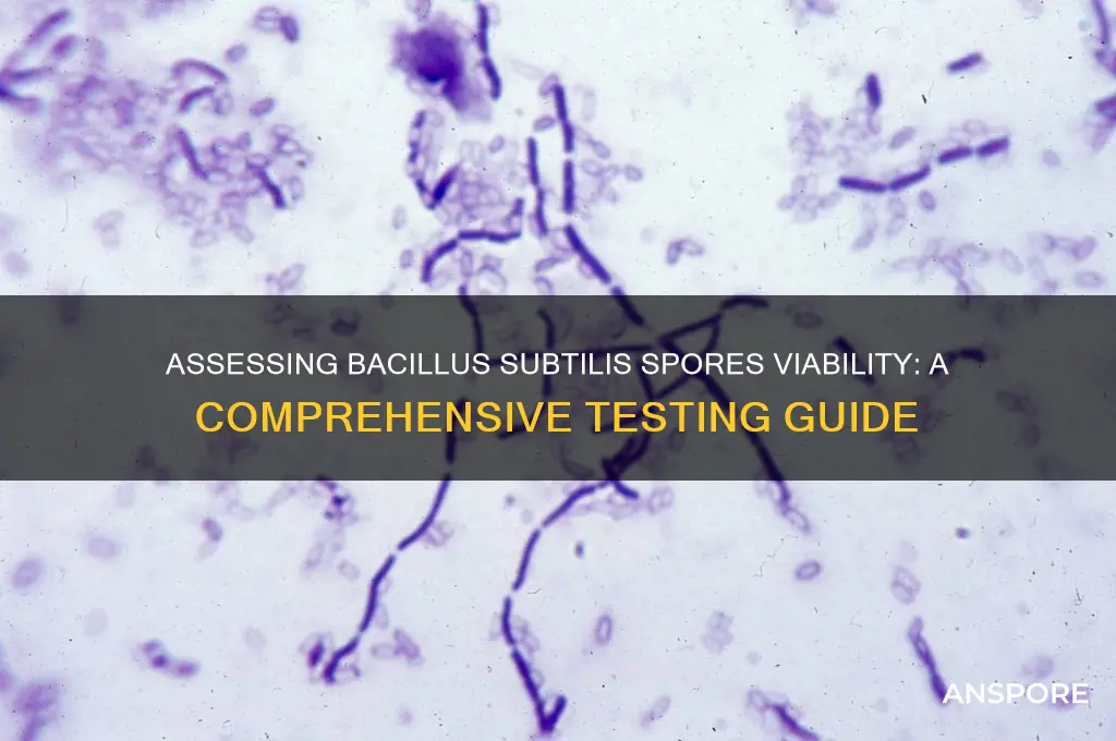 how to check if bacillus subtillis spores are viable