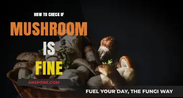 Identifying Edible Mushrooms: A Quick Guide