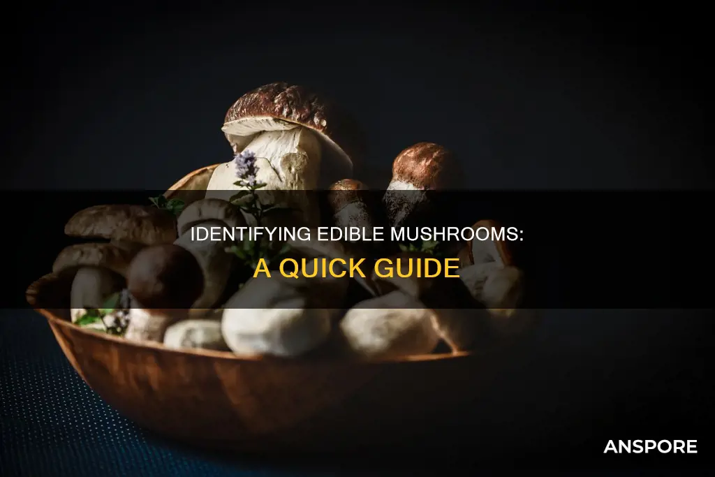 how to check if mushroom is fine