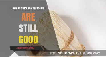 How to Check if Mushrooms Are Still Good: A Quick Guide