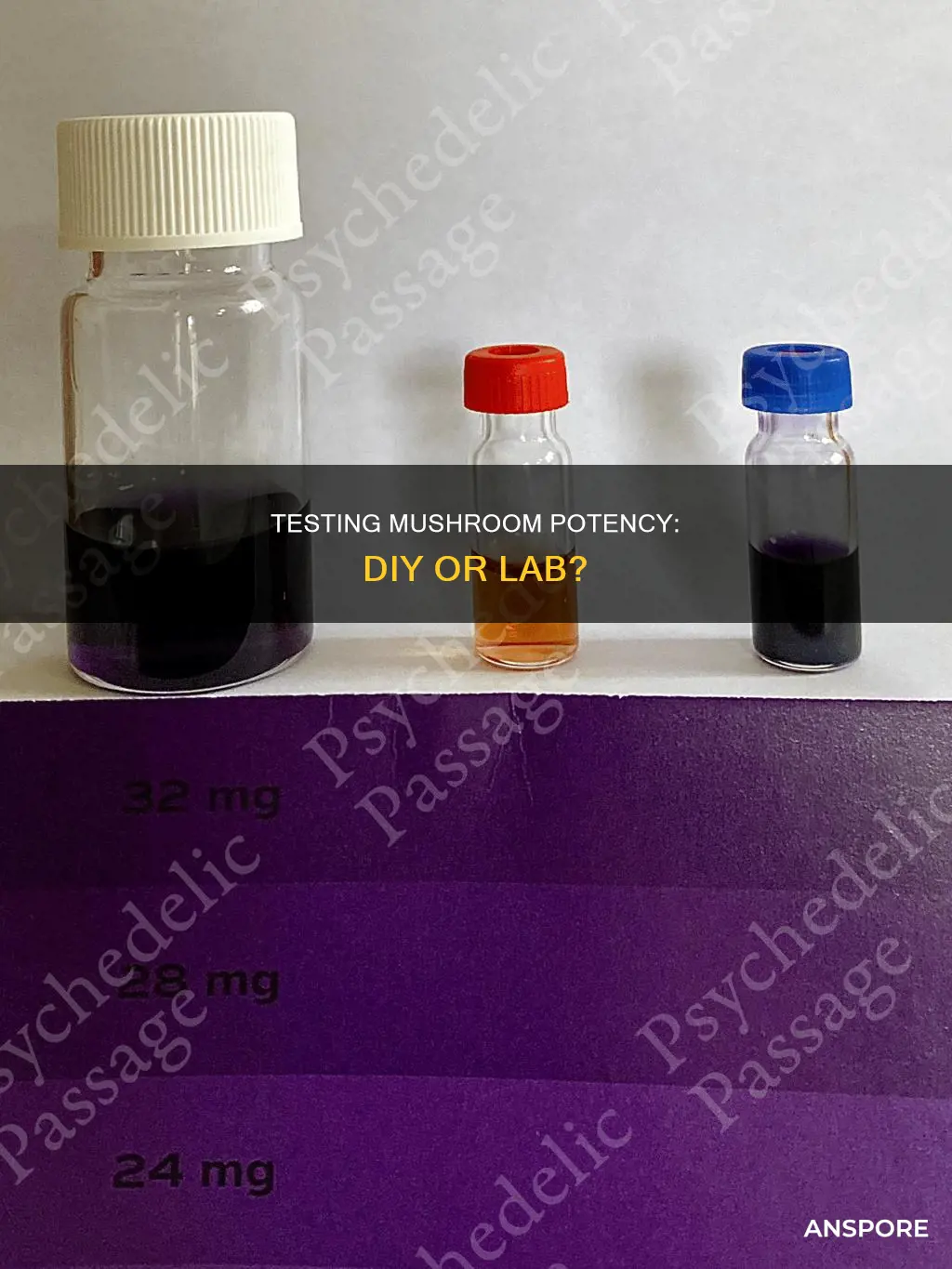 how to check mushroom potency