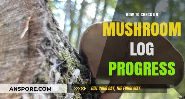 Monitoring Mushroom Logs: A Step-by-Step Guide