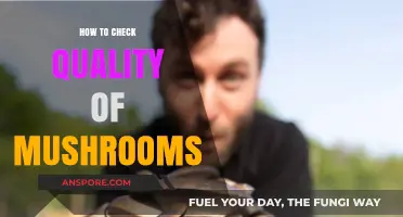 Identifying Quality Mushrooms: A Guide to Buying the Best