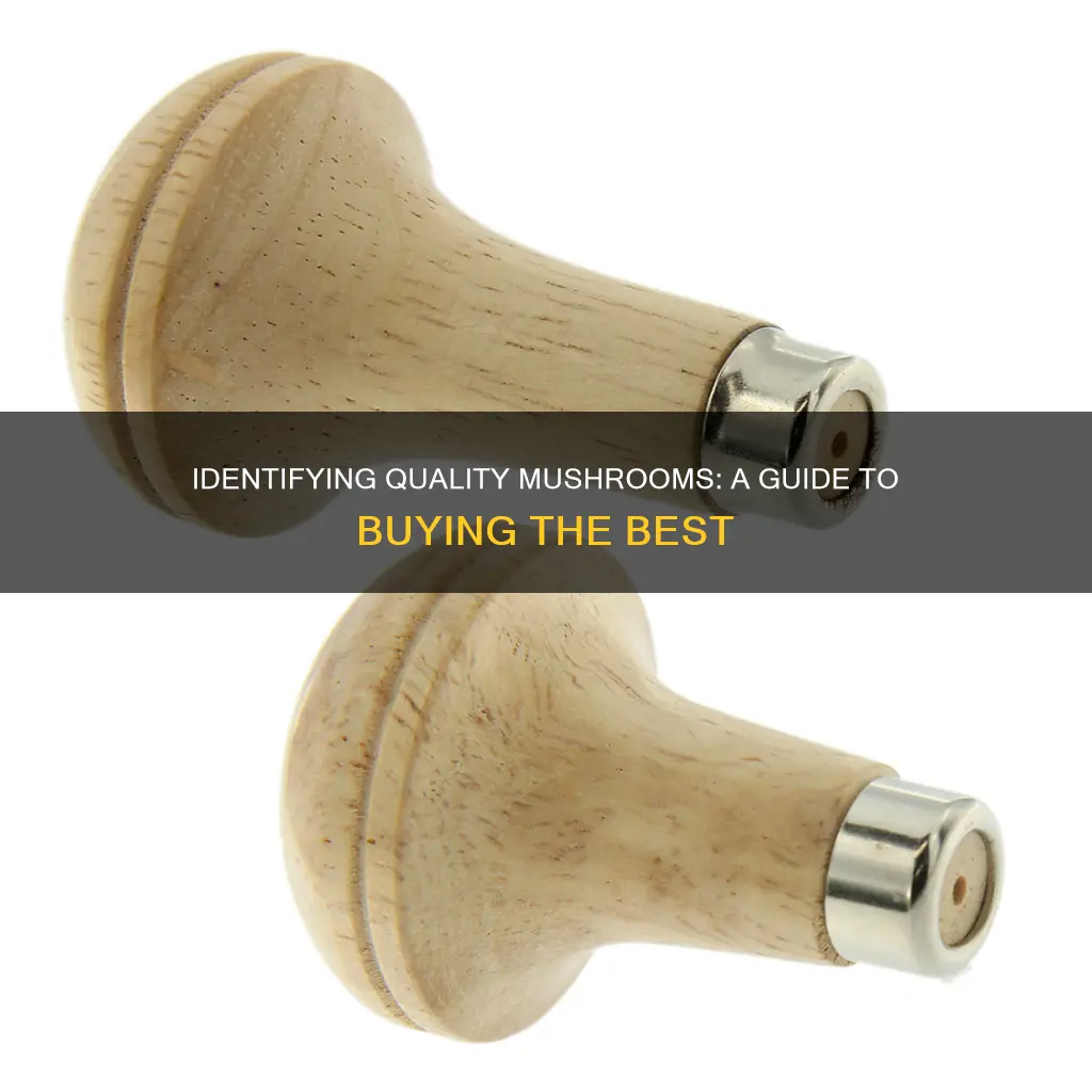 how to check quality of mushrooms