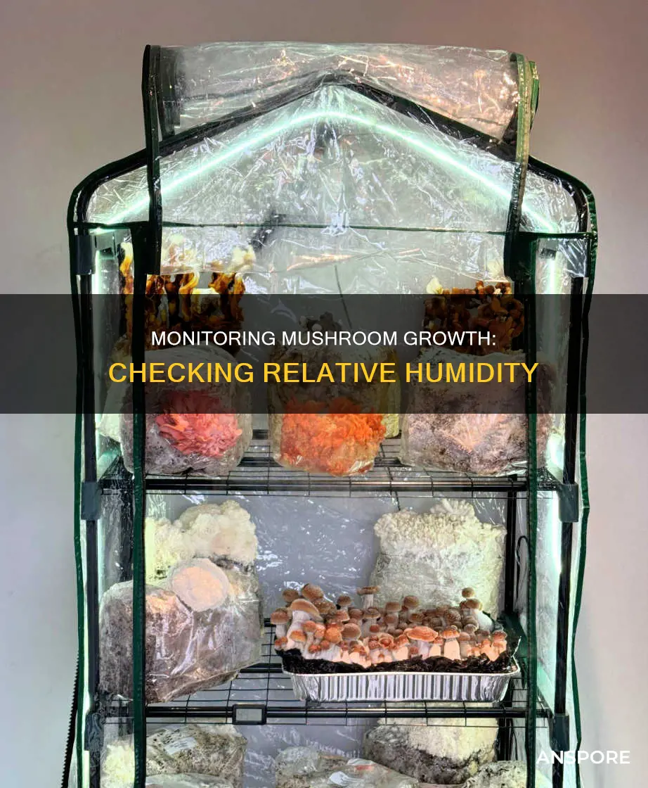 how to check relative humidity mushrooms
