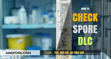 How to Verify and Access Spore DLC: A Comprehensive Guide