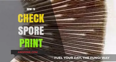 Mastering Mushroom Identification: A Step-by-Step Guide to Checking Spore Prints