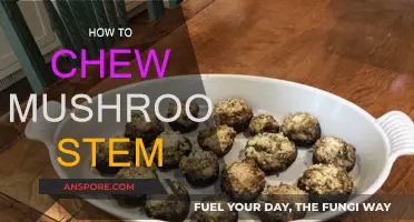 Chewing Mushroom Stems: A Step-by-Step Guide