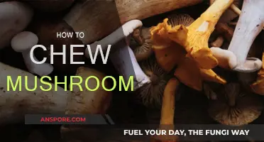 Mushroom Chewing: Techniques and Benefits